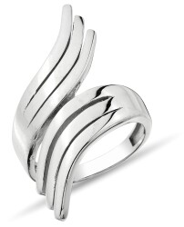 ANILLO FIGURA ALA - 1